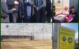 افتتاح گلخانه سبزی و صیفی جات در استان لرستان با حمایت بانک کشاورزی 