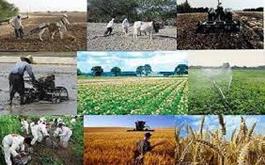 پرداخت  1932 میلیارد ریال تسهیلات توسط بانک کشاورزی استان لرستان