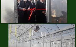 افتتاح گلخانه سبزی و صیفی جات با حمایت 22 میلیارد ریالی بانک کشاورزی استان لرستان در دهه مبارک فجر