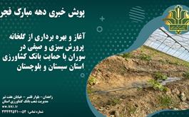  آغاز بهره برداری از گلخانه پرورش سبزی و صیفی در سوران با حمایت بانک کشاورزی استان سیستان و بلوچستان