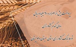 پرداخت بیش از 4 هزار و 90 میلیارد ریال بهای گندم کشاورزان توسط بانک کشاورزی استان سیستان و بلوچستان