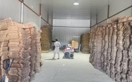 آغاز بهره برداری از طرح سردخانه و بسته بندی خرما با حمایت بانک کشاورزی در استان سیستان و بلوچستان