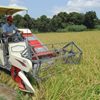 با حمایت بانک کشاورزی، کاشت و برداشت برنج در شمال کشور مکانیزه شد