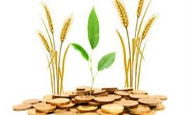 پرداخت 989 میلیارد ريال تسهیلات ماده( 52 )قانون الحاق( صندوق توسعه ملی 1400 ) توسط بانک کشاورزی استان اصفهان