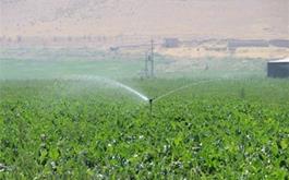 پرداخت 1232 میلیارد ریال تسهیلات زراعت توسط بانک کشاورزی استان لرستان