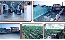 افتتاح گلخانه هیدروپونیک کشت توت فرنگی با حمایت 18 میلیاردی بانک کشاورزی در استان قزوین