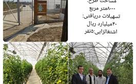 افتتاح یک واحد گلخانه سبزی و صیفی جات با حمایت ۴۰ میلیارد ریالی  بانک کشاورزی استان گلستان
