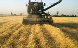 پرداخت 560  میلیارد ریال تسهیلات صنایع و خدمات کشاورزی توسط بانک کشاورزی استان لرستان