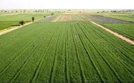 پرداخت 1044 میلیارد ریال تسهیلات زراعت توسط بانک کشاورزی استان لرستان