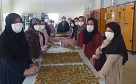 افتتاح واحد بسته بندی و تولید میوه خشک در استان مازندران با حمایت بانک کشاورزی