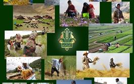 اقدام جدید بانک کشاورزی برای نمایش عملکرد روزانه بانک در توسعه اشتغال پایدار روستایی و عشایری 