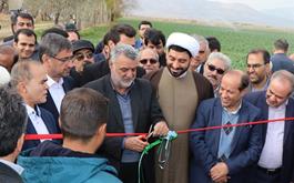 با حضور وزیر جهاد کشاورزی صورت گرفت: بهره برداری از طرح‌های تولیدی کشاورزی در استان همدان با مشارکت بانک کشاورزی