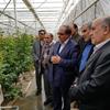 بازدید مدیرعامل بانک کشاورزی از طرح مشارکتی گلخانه هیدروپونیک در استان اصفهان 
