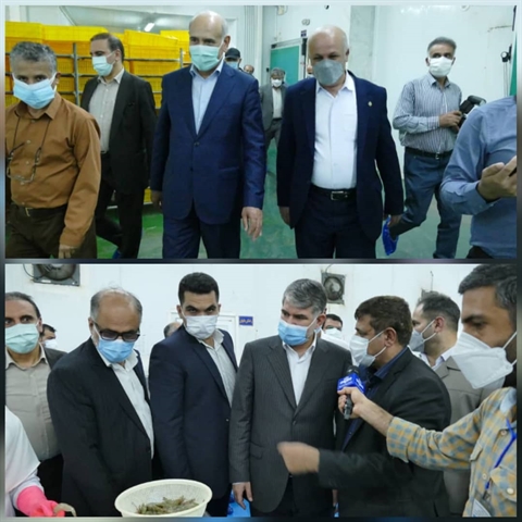 بازدید مدیر عامل بانک کشاورزی در معیت وزیر جهاد کشاورزی  از کارخانه فرآوری آبزیان در شهرک صنعتی بوشهر