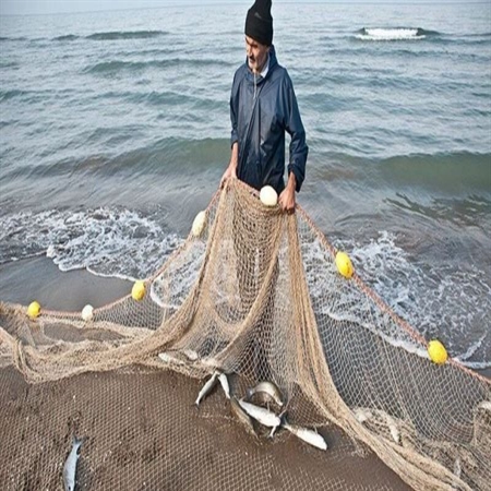 پرداخت 327 میلیارد ریال تسهیلات  ماهیگیری و صید آبزیان در شعب بانک کشاورزی استان بوشهر