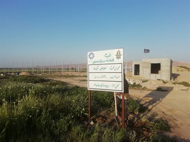 احداث گلخانه سبزی و صیفی در استان بوشهر با حمایت بانک کشاورزی