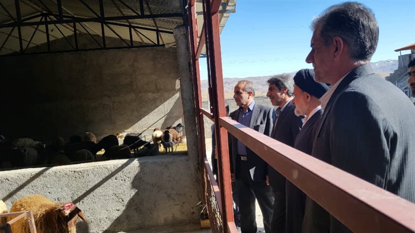 افتتاح طرح پرواربندی بره 340 راسی با حمایت بانک کشاورزی در استان لرستان