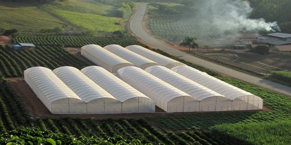 پرداخت بیش از 1300میلیارد ریال تسهیلات گلخانه توسط بانک کشاورزی استان گلستان