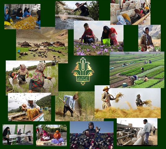 اجرای بیش از 32 هزار کسب و کار پایدار جدید در مناطق روستایی با حمایت بانک کشاورزی 