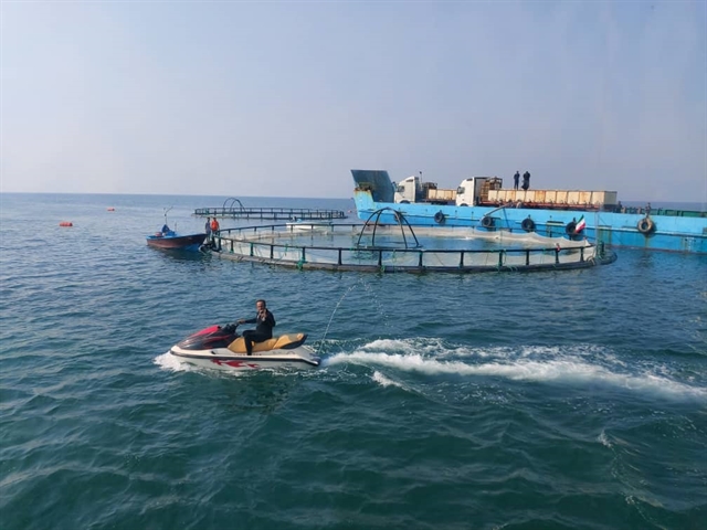 افتتاح طرح پرورش ماهی در دریا  درشهرستان کنگان  با حمايت بانك كشاورزي