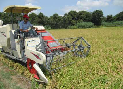 مکانیزه شدن کاشت و برداشت برنج در گیلان با حمایت 1144 میلیارد ریالی بانک کشاورزی