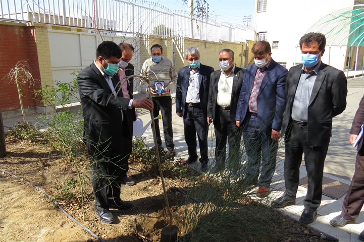 کاشت نهال توسط مدیر  استان به مناسبت روز درختکاری و هفته منابع طبیعی