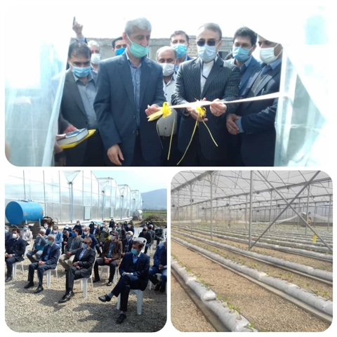 افتتاح اولین گلخانه هیدروپونیک در شهرستان آزادشهر با حمایت 15 میلیارد ریالی بانک کشاورزی