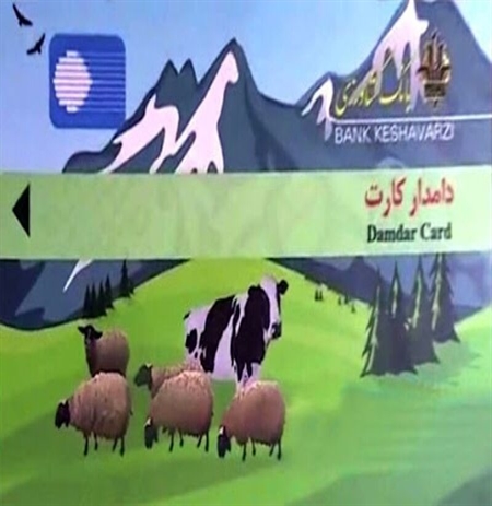 تحقق 213 درصدی برنامه پرداخت تسهیلات دامدار کارت توسط بانک کشاورزی استان مازندران 