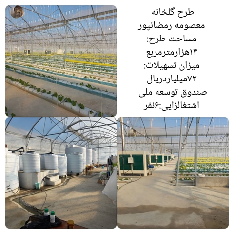 افتتاح واحد گلخانه سبزی و صیفی جات در استان گلستان با مشارکت بانک کشاورزی 