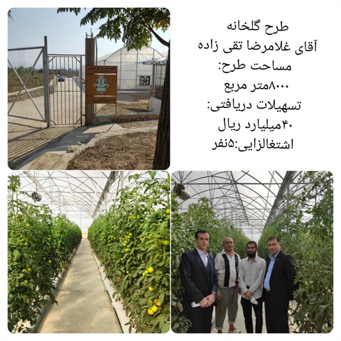 افتتاح یک واحد گلخانه سبزی و صیفی جات با حمایت ۴۰ میلیارد ریالی  بانک کشاورزی استان گلستان