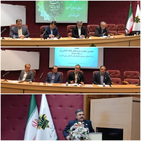 برگزاری گردهمایی روسای شعب استان مازندران با حضور معاونین مدیرعامل