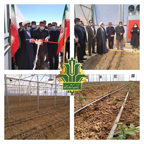 افتتاح گلخانه سبزی و صیفی جات با حمایت بانک کشاورزی استان لرستان در دهه مبارک فجر