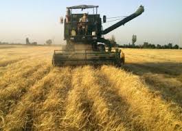 پرداخت 560  میلیارد ریال تسهیلات صنایع و خدمات کشاورزی توسط بانک کشاورزی استان لرستان