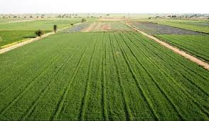 پرداخت 1044 میلیارد ریال تسهیلات زراعت توسط بانک کشاورزی استان لرستان