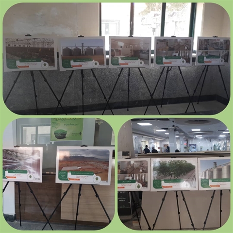 برپایی نمایشگاه هفته دولت در مدیریت بانک کشاورزی استان لرستان