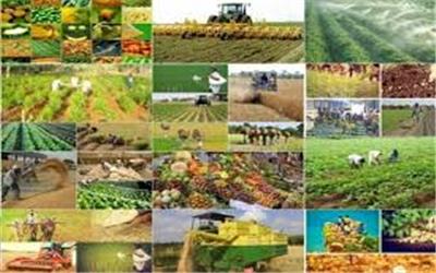 پرداخت  4927 میلیارد ریال تسهیلات توسط بانک کشاورزی استان لرستان