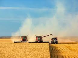 پرداخت 70 هزار میلیارد ریال بهای گندم به کشاورزان توسط بانک کشاورزی