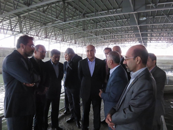 بازدید عضو هیات مدیره بانک از بزرگترین پروژه تولید خاویار و گوشت خاویاری در استان مازندران